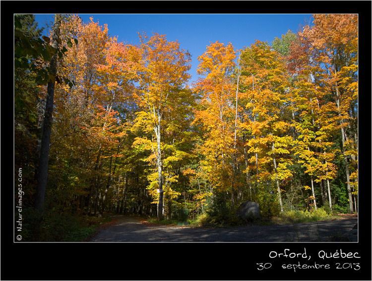 IMG_9212-naturelimages.com