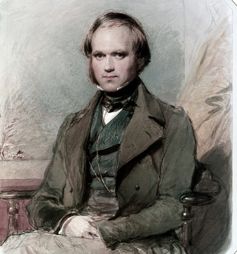 Darwin