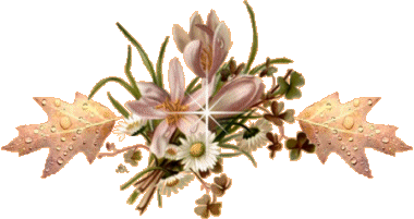 Gif barre Fleurs roses feuillages d'automne 380 pixels
