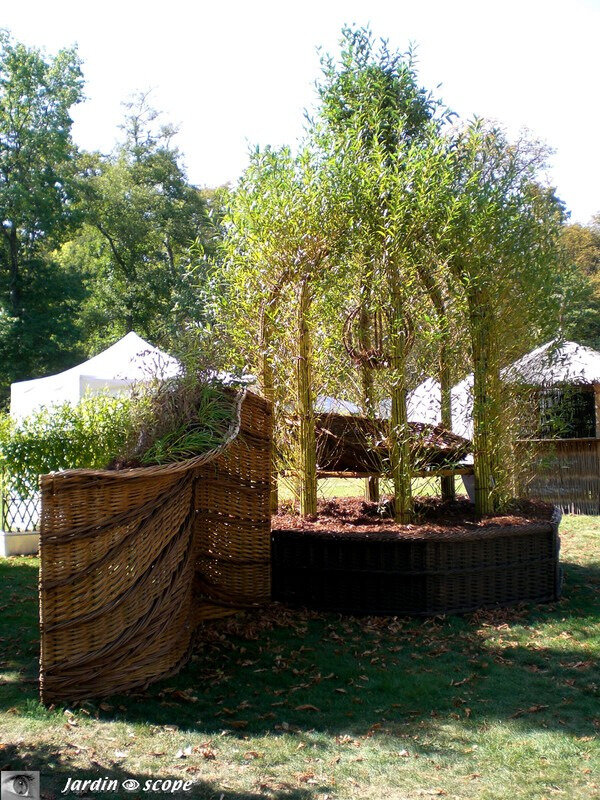 Gloriette en osier vivant