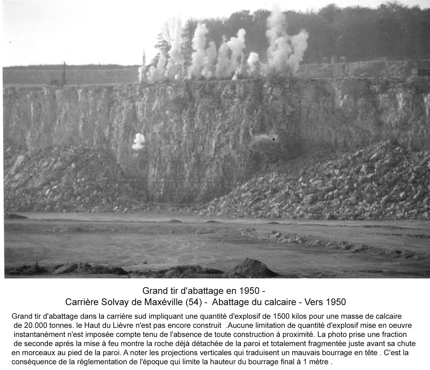 7210 Grand tir d'abattage carrière sud