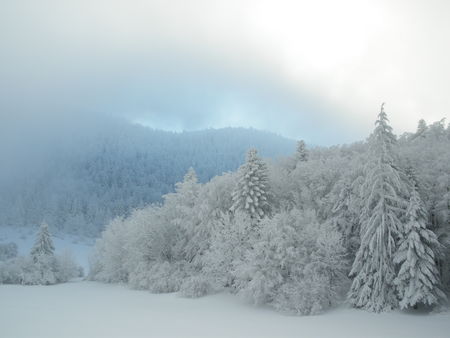 100214_Vercors_006