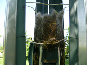 Capture_d__cran_2011_05_05___19