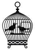 cage à oiseaux 4