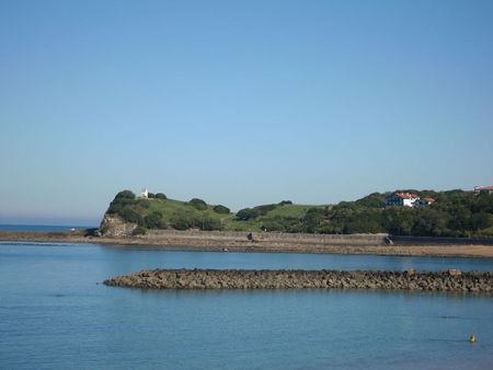 DSCN3540
