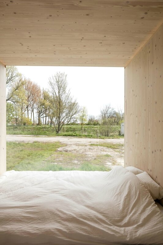 ARK_ext-cafeine-postel