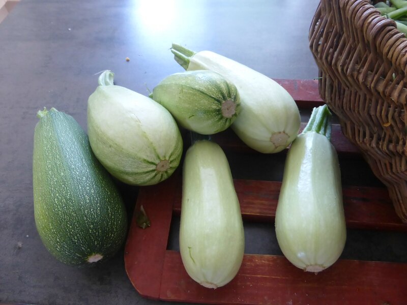 28-courgettes