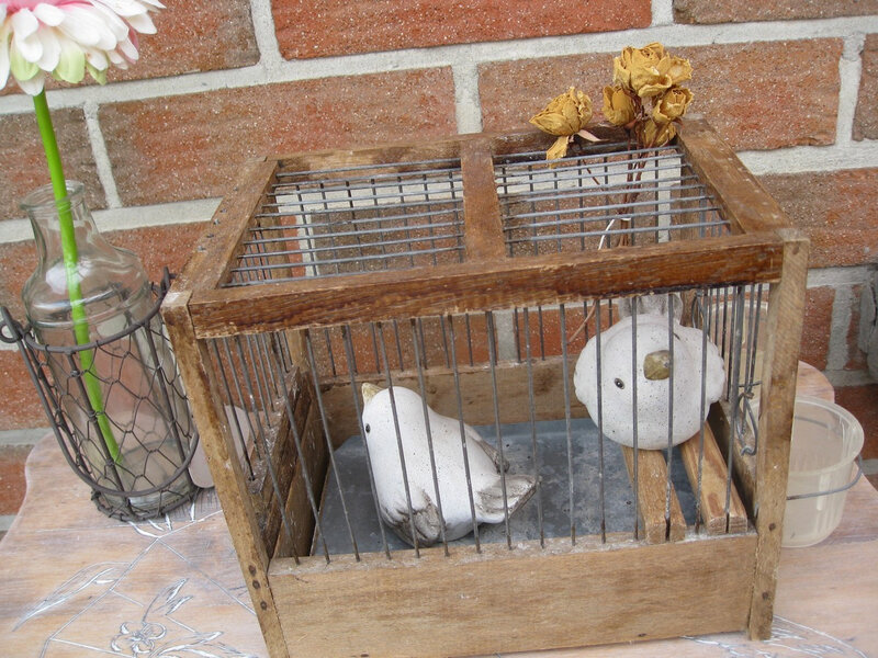 cage à oiseaux