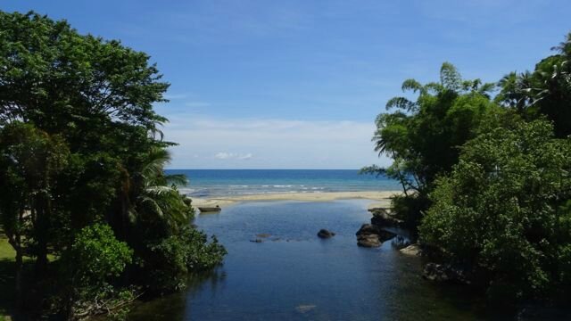 DSC03593