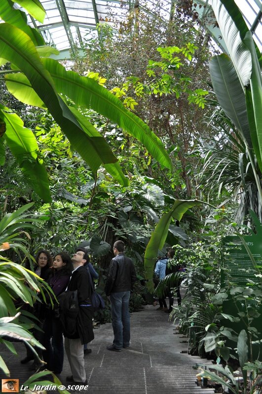 Grandes Serres du Jardin des Plantes de Paris