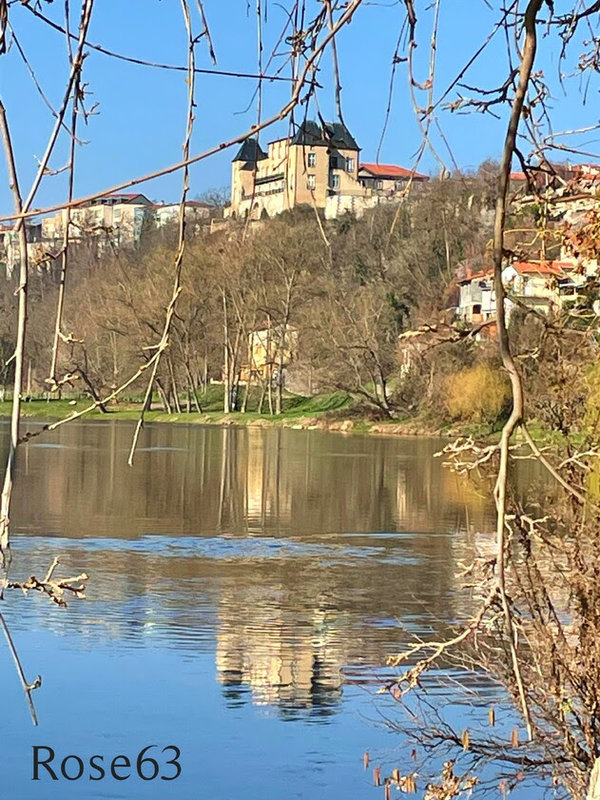 23-Rose Pont du Château