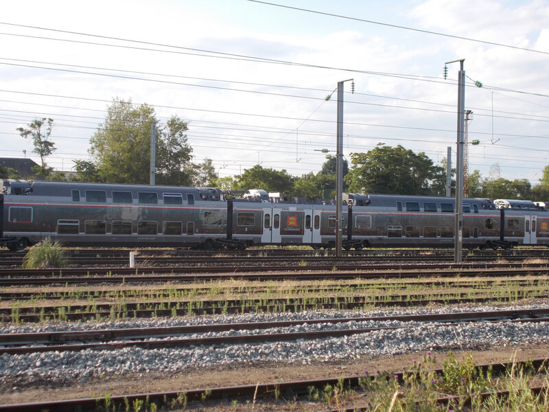 OMNEO TER normand (1)