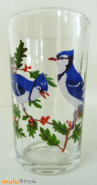 OISEAUX-Pichet-Verre-8-muluBrok