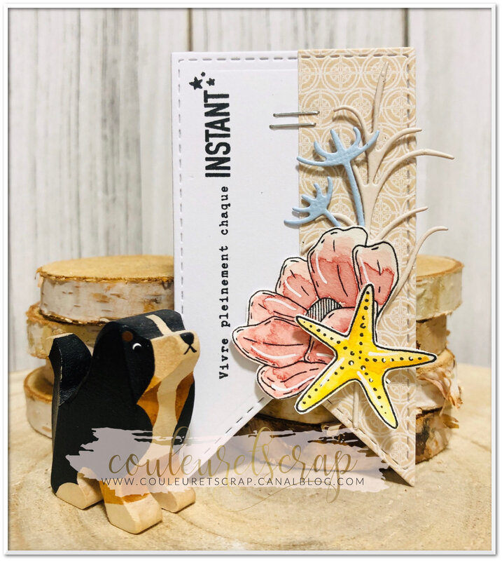 Couleuretscrap_ensemble_amitié_étiquette5