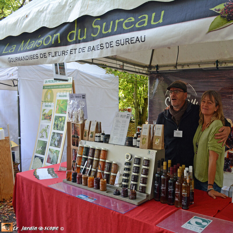 La Maison du Sureau