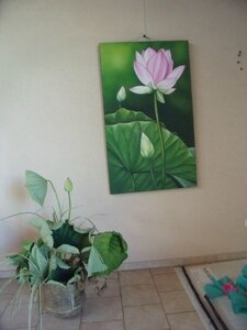 lotus 074