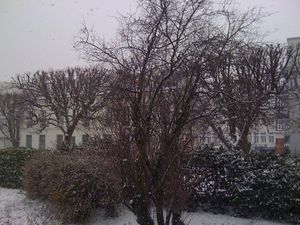 Photo_022