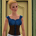 Challenges et histoires (Sims 3)