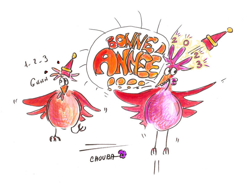 bonne-année-final blog