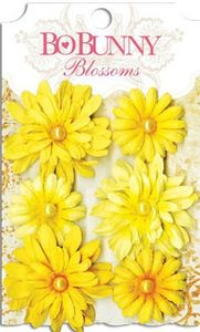 flowers-buttercup-daisy-157613-1