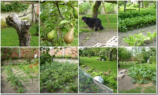 jardin 20 juin 20204