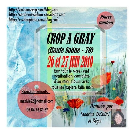 crop_gray_affiche