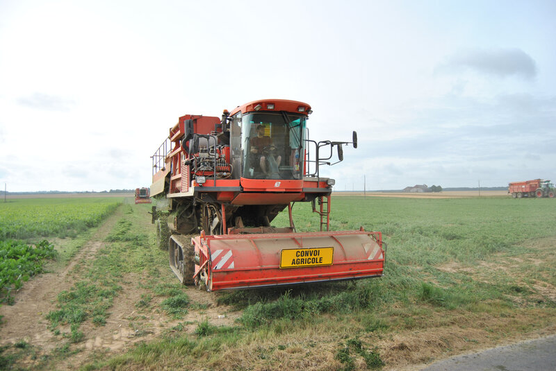 baromesnil petit pois hervé brasseur 018 (43)