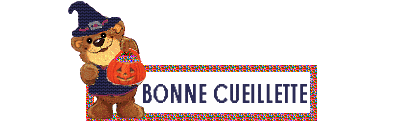 BONNE_CUEILLETTE2