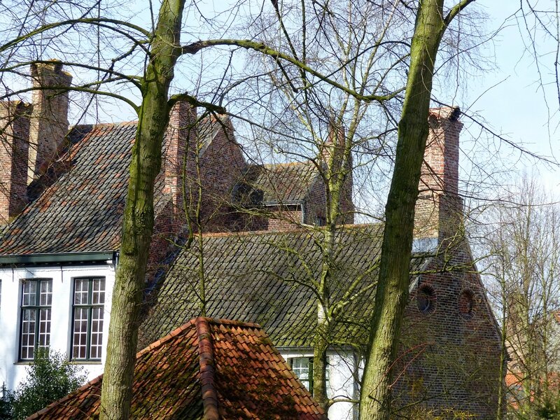 BRUGES le béguinage 27 mars 2015 (38)