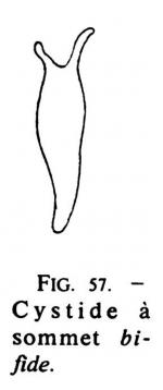 Joss Fig 57