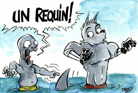 Le requin01