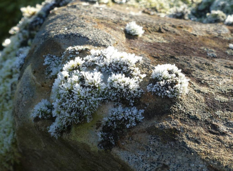 P1110331