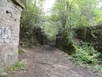 Bois + fort d'Arches 062