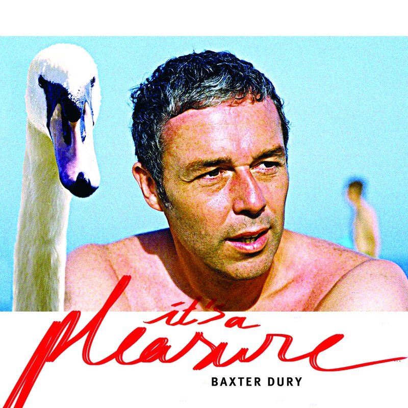 Baxter-Dury-Pochette-Its-A-Pleasure