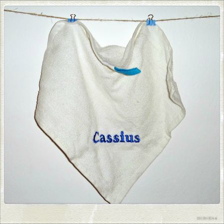 serviette Cassius