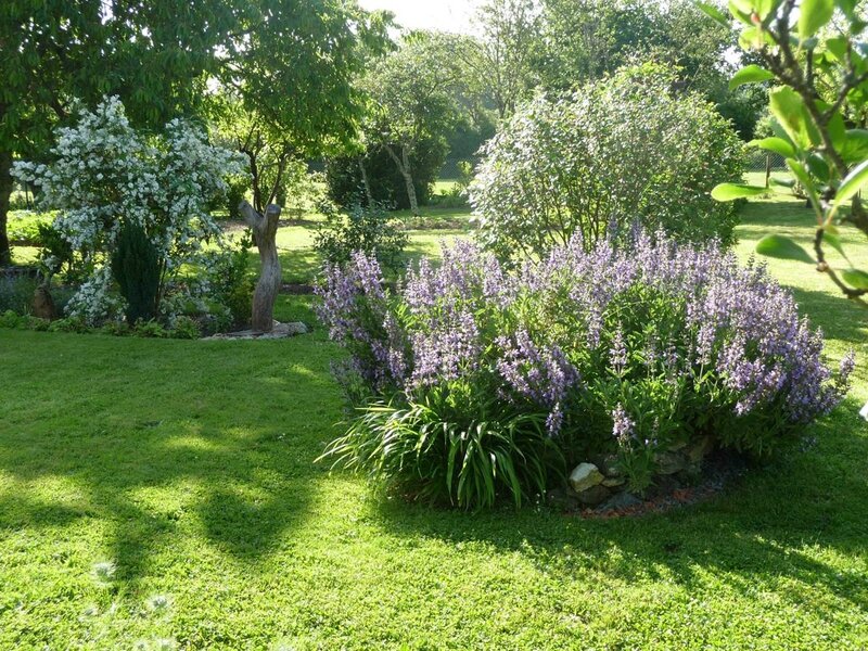 jardin de campagne 4