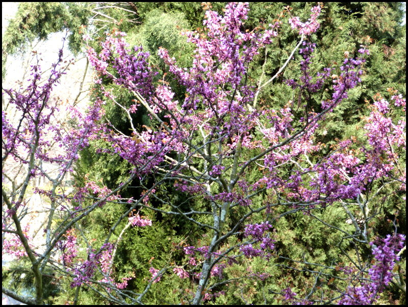 P1750376