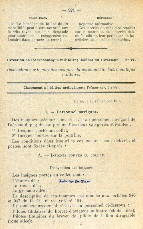 aviation insignes (1)log