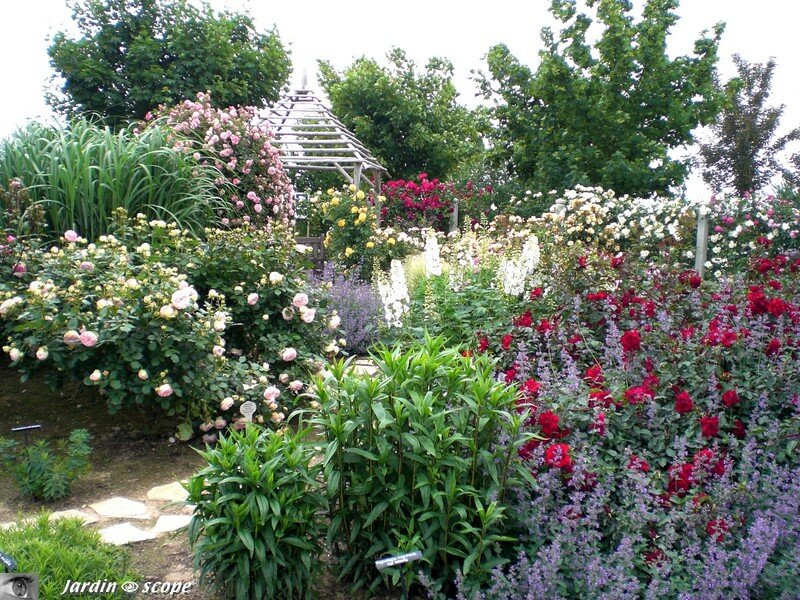 Visite du nouveau jardin…