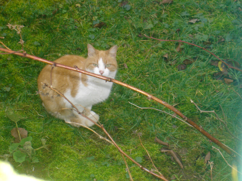 DSC05902