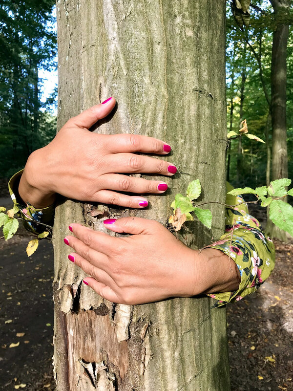 toucher un arbre