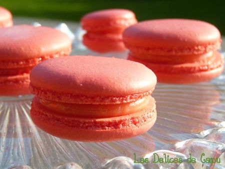 Macarons fraise tagada1