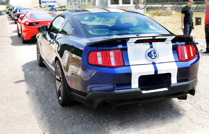 GT500Shelby_Tasunkaphotos2018_07