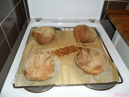 Boules de pain par nico -- 8 mai 2013
