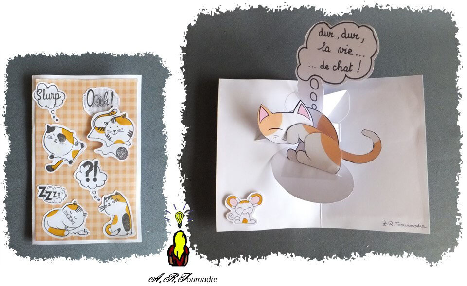 ART 2020 02 une vie de chat 0