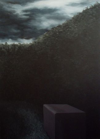 Little box, acryliquue sur toile, 165x119 cm, 2012