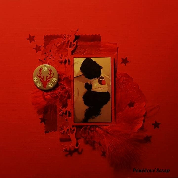 122220038
