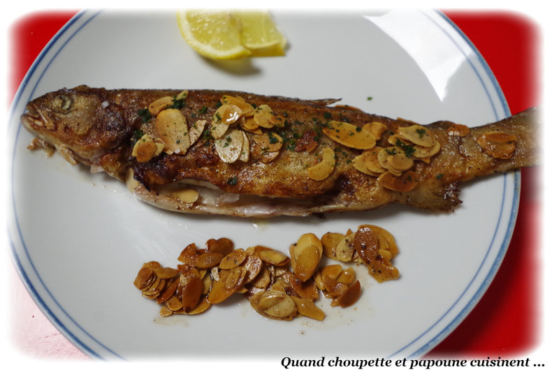 truites aux amandes-8498