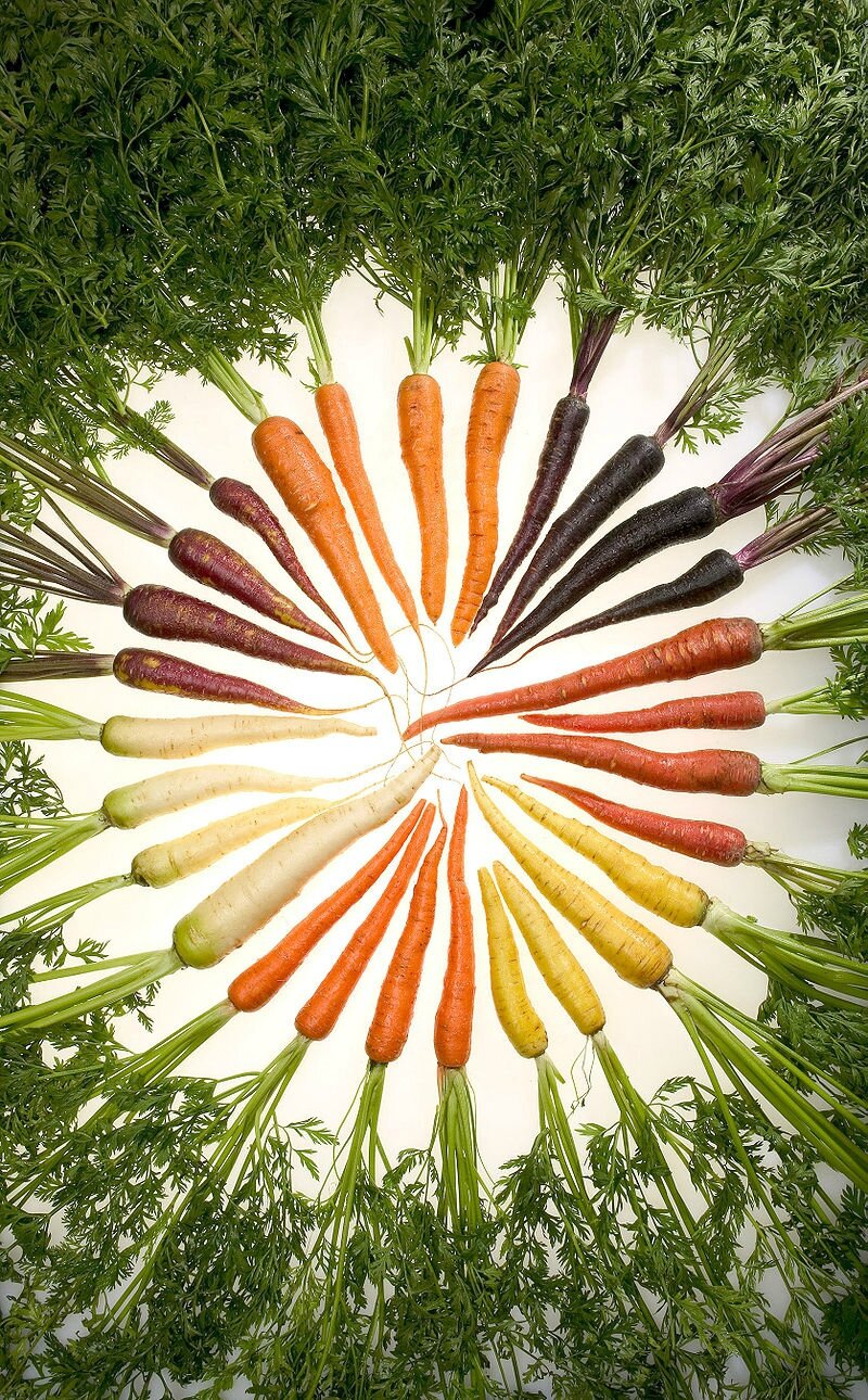 800px-Carrots_of_many_colors