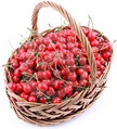 panier de cerises